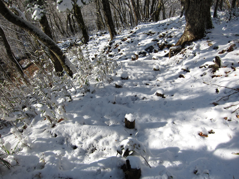 20191129hike (434)
